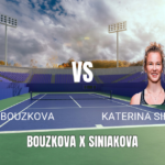 Onde Assistir Bouzkova vs Siniakova - Palpite 18/05/2026