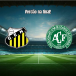 Novorizontino 0x2 Chapecoense: Classificação Verdão