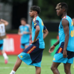 Copa do Mundo 2026: Espanha x Cabo Verde - Touros em Ação
